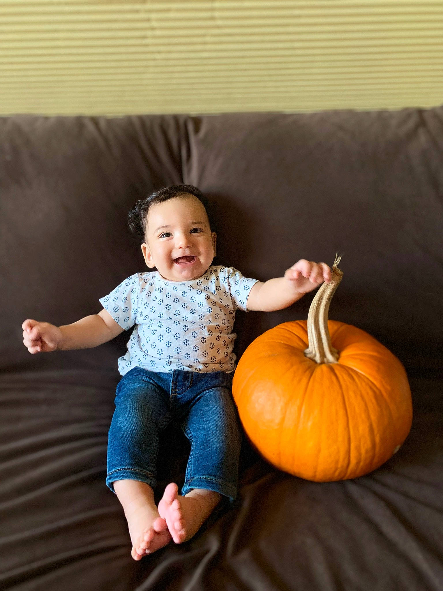 Artemus joined the competition — help win amazing prizes! arm, baby_toddler_clothing, calabaza, comfort, eye, flash_photography, gourd, happy, head, human_body, joy, leg, person, plant, pumpkin, sleeve, smile, squash, standing, toddler