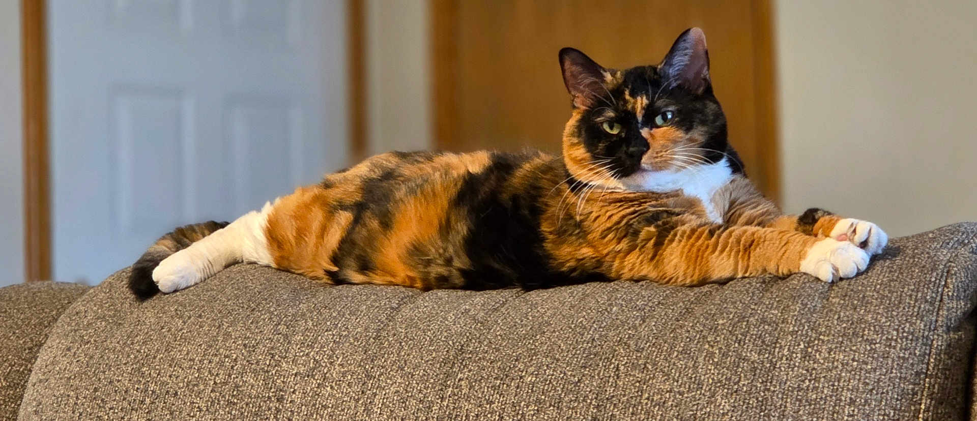 Tootsie