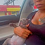 person, puppy, dog, car_interior, glasses, sleeping, lap, hand, window, billboard, building, plaid_pants, black_shirt, necklace, tattoo, relaxation, cute, pet, cozy, casual