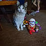animal, carpet, cat, child, colorful, curious, floor, furniture, home, indoor, legs, mr_potato_head, pet, plastic_toy, playtime, socks, stuffed_toy, table, toy, wood