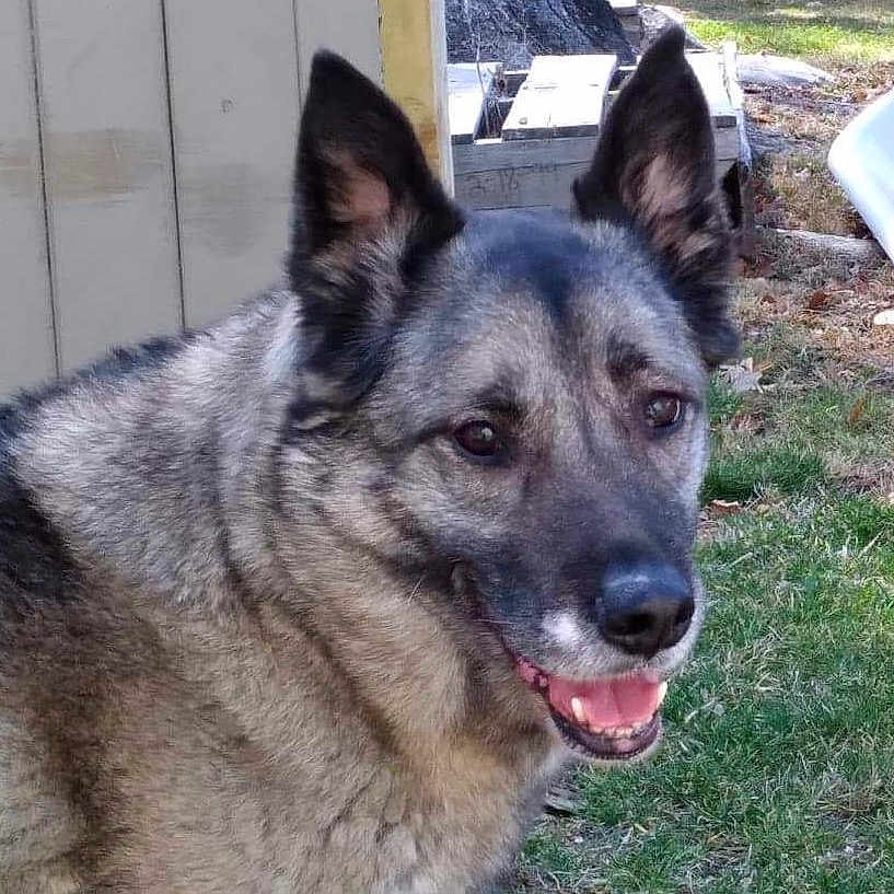 Dakota
