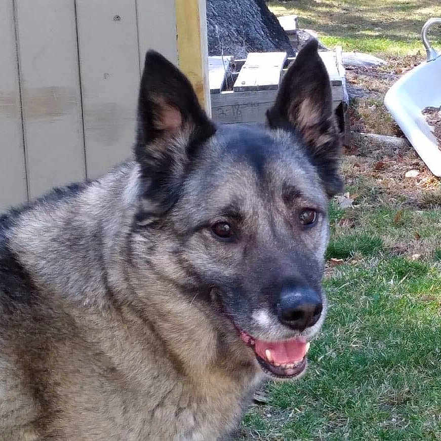 Dakota