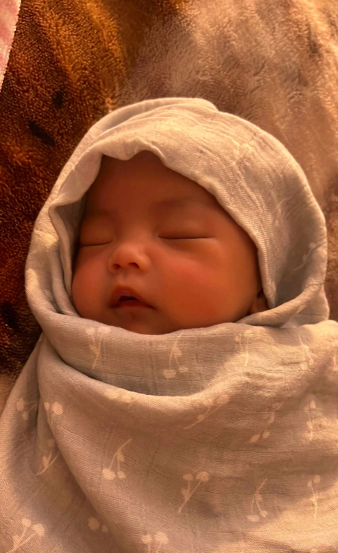 Anaiah is registered to the contest to win money with this photo: baby, sleeping, blanket, wrapped, cozy, infant, soft, pattern, face, closed_eyes, peaceful, newborn, cute, child, rest, warm, texture, portrait, indoors, head_covering