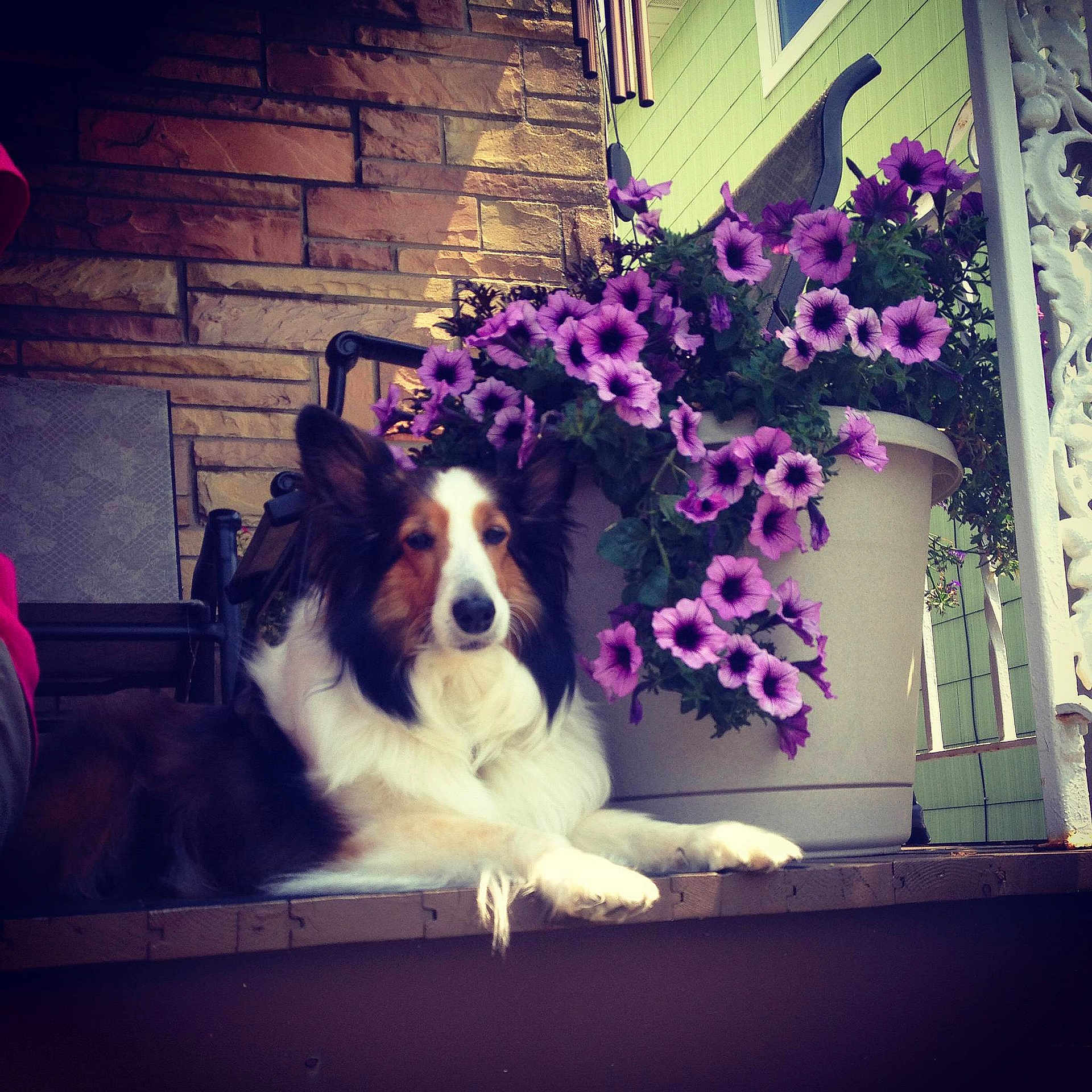 Brandy is registered to the contest to win money with this photo: