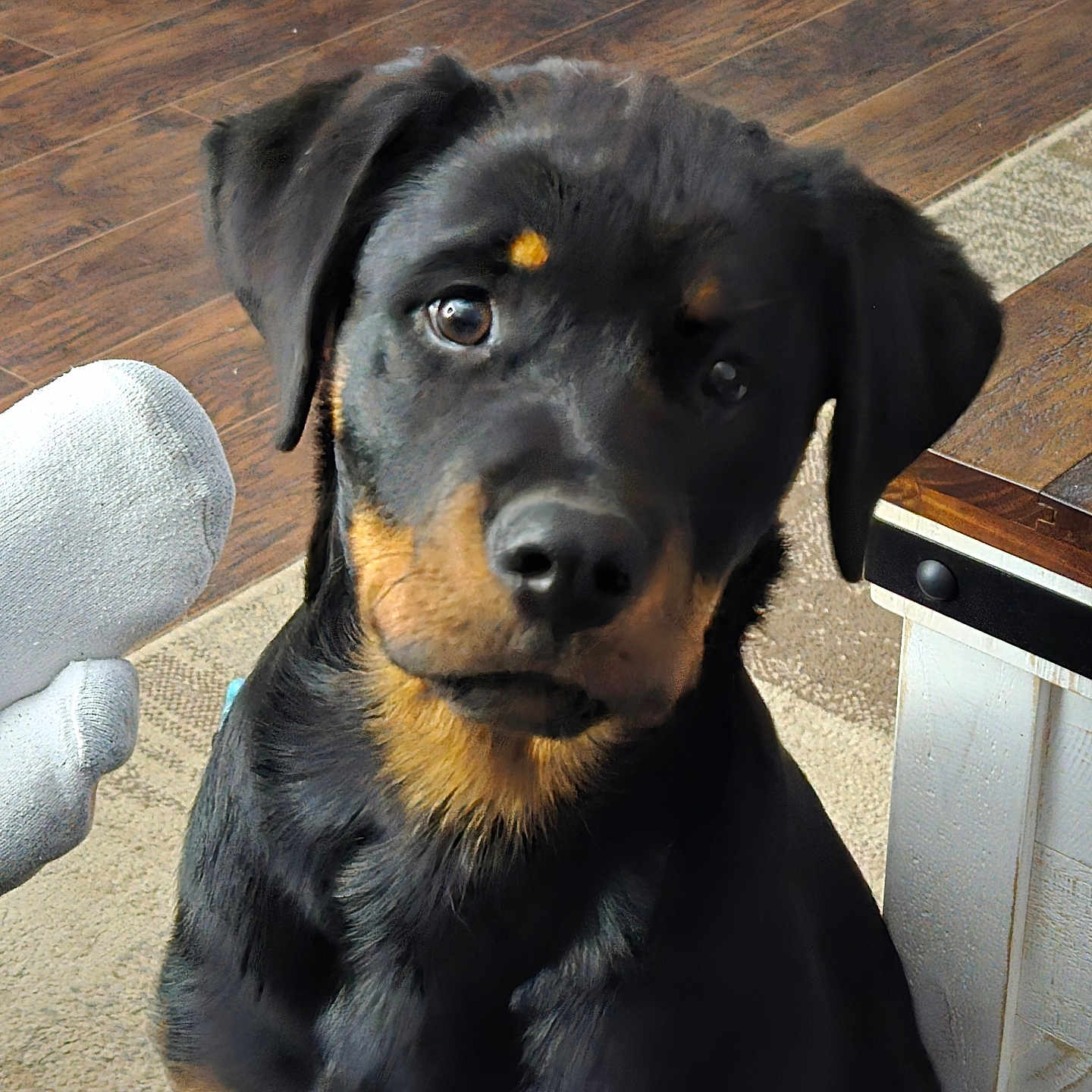 Luna