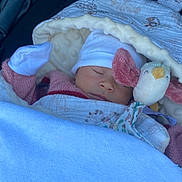 Mattea participe au concours pour gagner de l'argent avec cette photo : baby, blanket, child, comfort, cozy, cute, fabric, hat, infant, outdoor, peaceful, pink, plush_toy, rest, sleeping, soft_texture, stroller, warm_clothing, white, wrapped