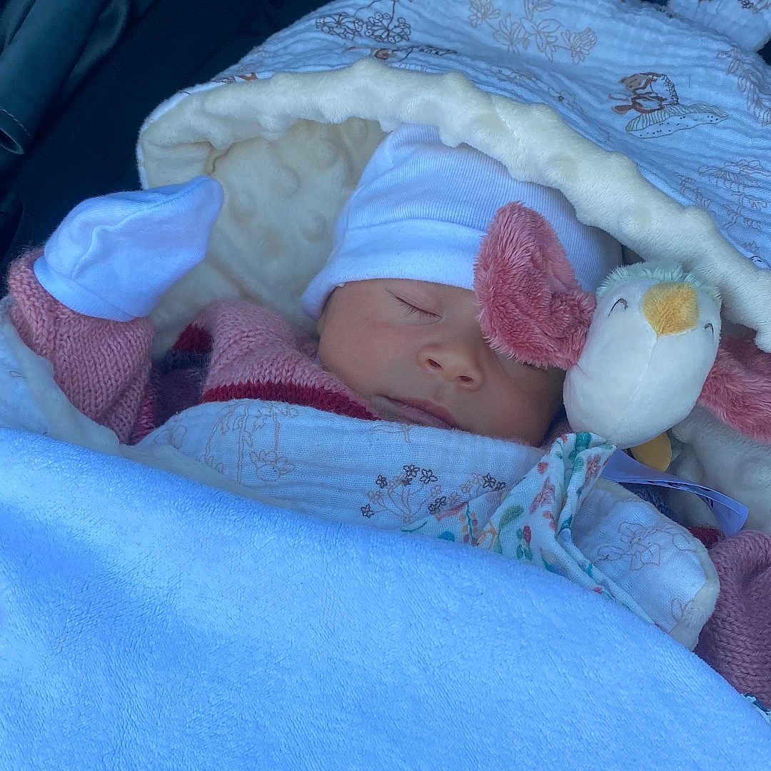 Mattea participe au concours pour gagner de l'argent avec cette photo : baby, blanket, child, comfort, cozy, cute, fabric, hat, infant, outdoor, peaceful, pink, plush_toy, rest, sleeping, soft_texture, stroller, warm_clothing, white, wrapped