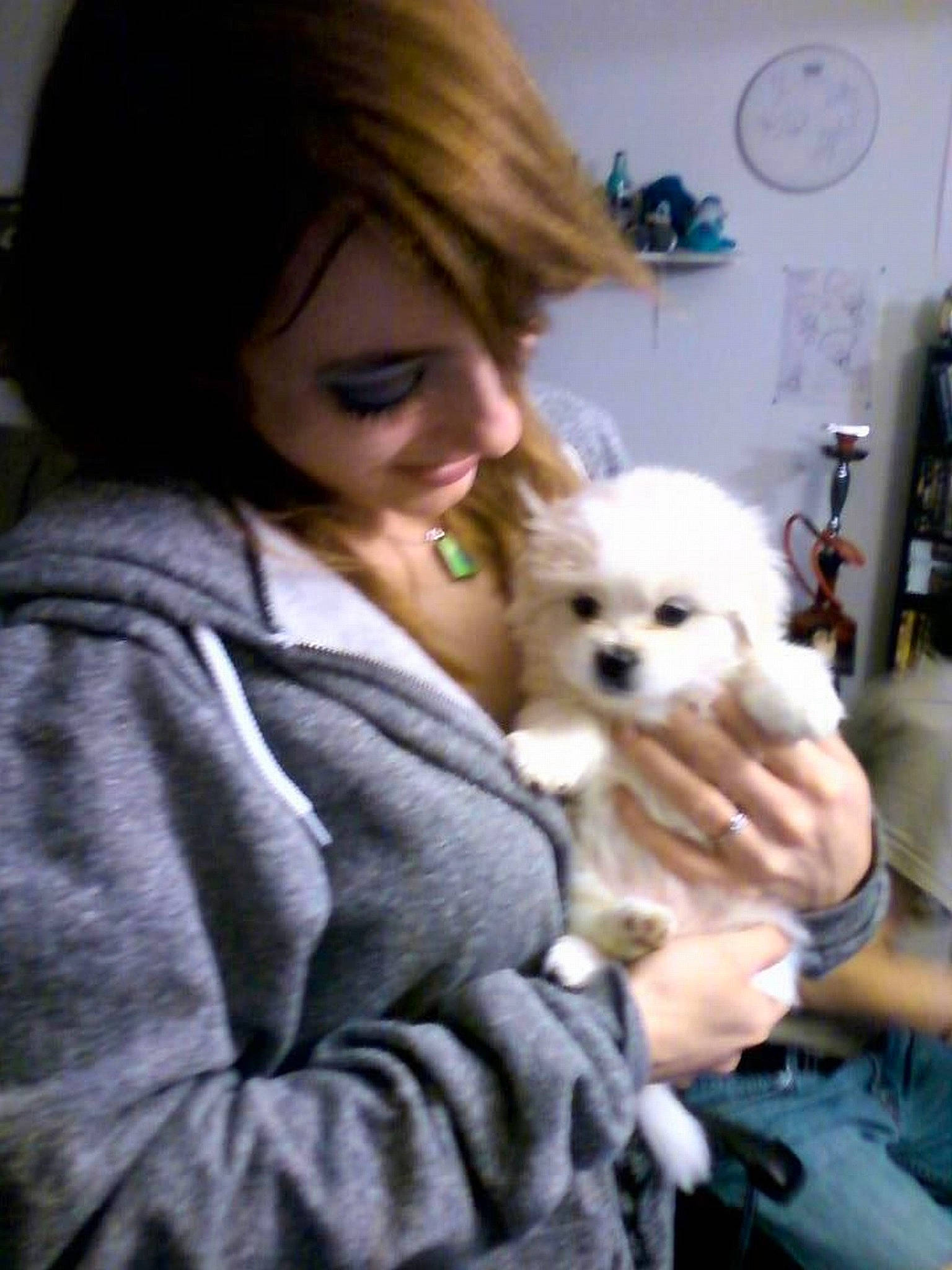 Daisy joined the competition — help win amazing prizes! canidae, carnivore, companion_dog, dog, dog_breed, german_spitz_mittel, japanese_spitz, maltepoo, mammal, morkie, non_sporting_group, pomeranian, puppy, puppy_love, rare_breed_dog, skin, spitz, toy_dog, vertebrate, volpino_italiano