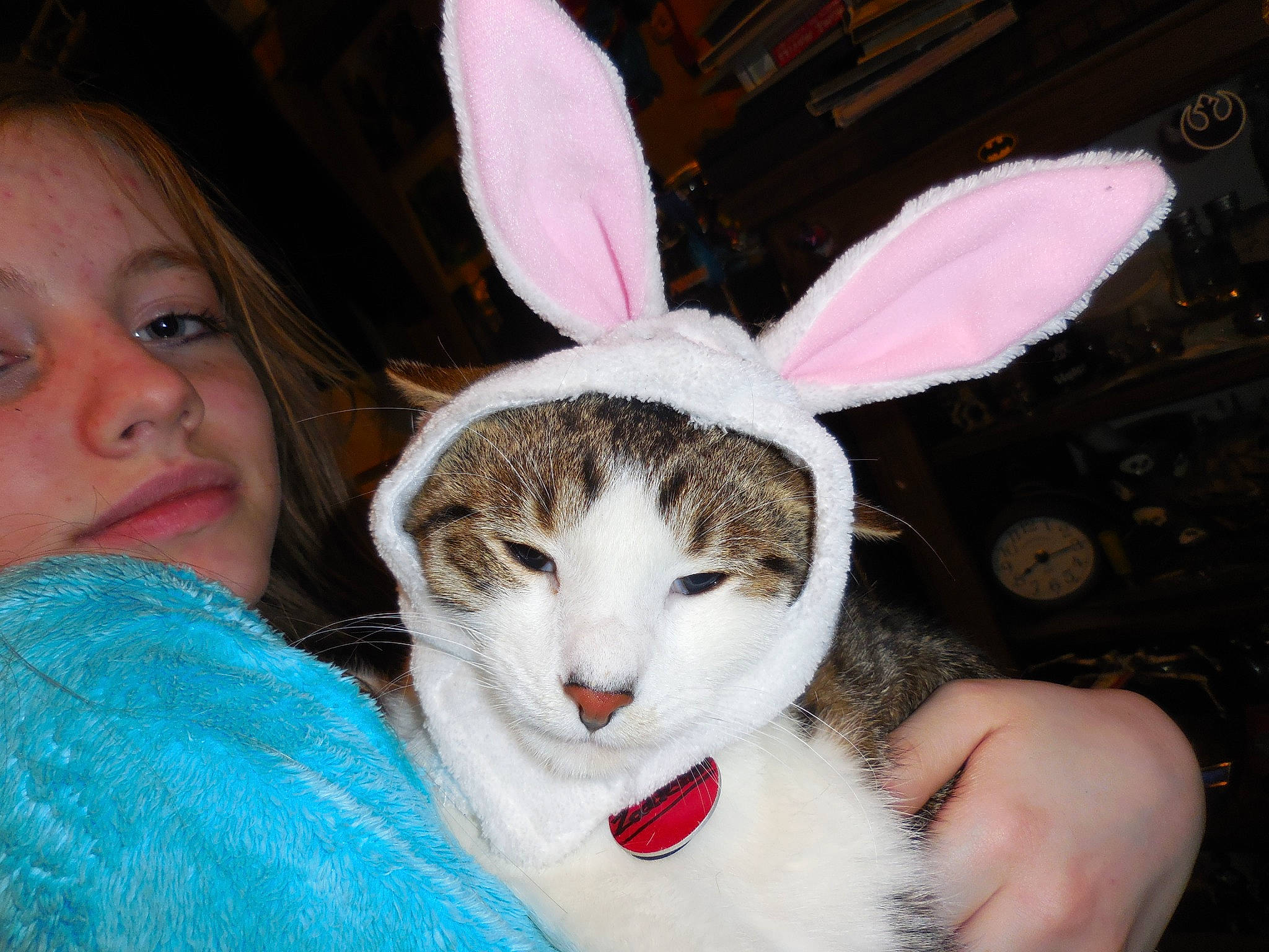 Zooblesnoot joined the competition — help win amazing prizes! cat, domestic_rabbit, ear, easter_bunny, felidae, fur, organ, rabbit, rabbits_and_hares, whiskers