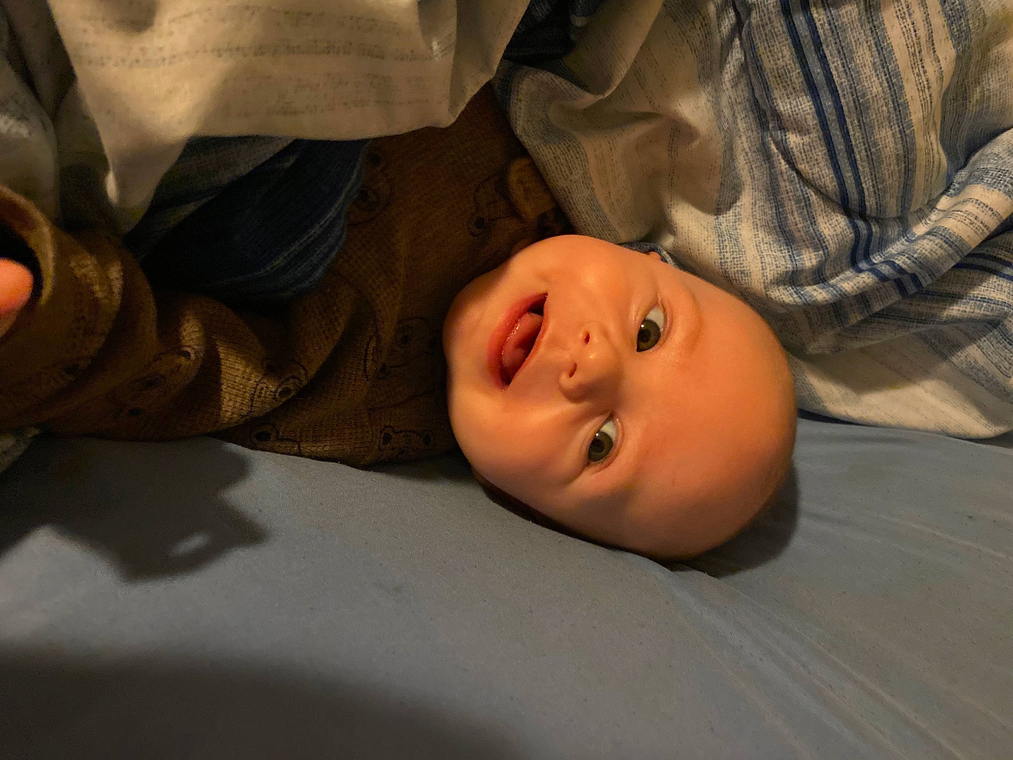 Gunner is registered to the contest to win money with this photo: baby, cheek, child, comfort, eyebrow, eyelash, flash_photography, fun, grass, happy, hat, nose, person, portrait, portrait_photography, sitting, sleeve, smile, toddler, wood