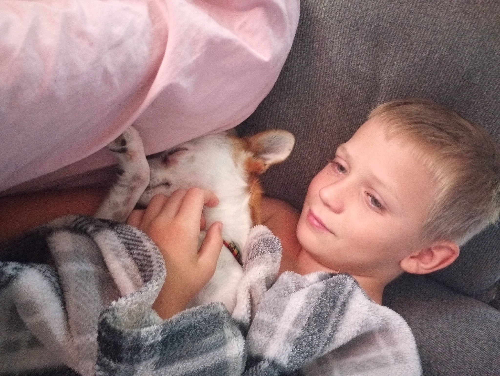 Brenden is registered to the contest to win money with this photo: baby, child, close_up, comfort, companion_dog, fawn, felidae, finger, gesture, hair, happy, head, iris, linens, person, skin, small_to_medium_sized_cats, smile, textile, toddler