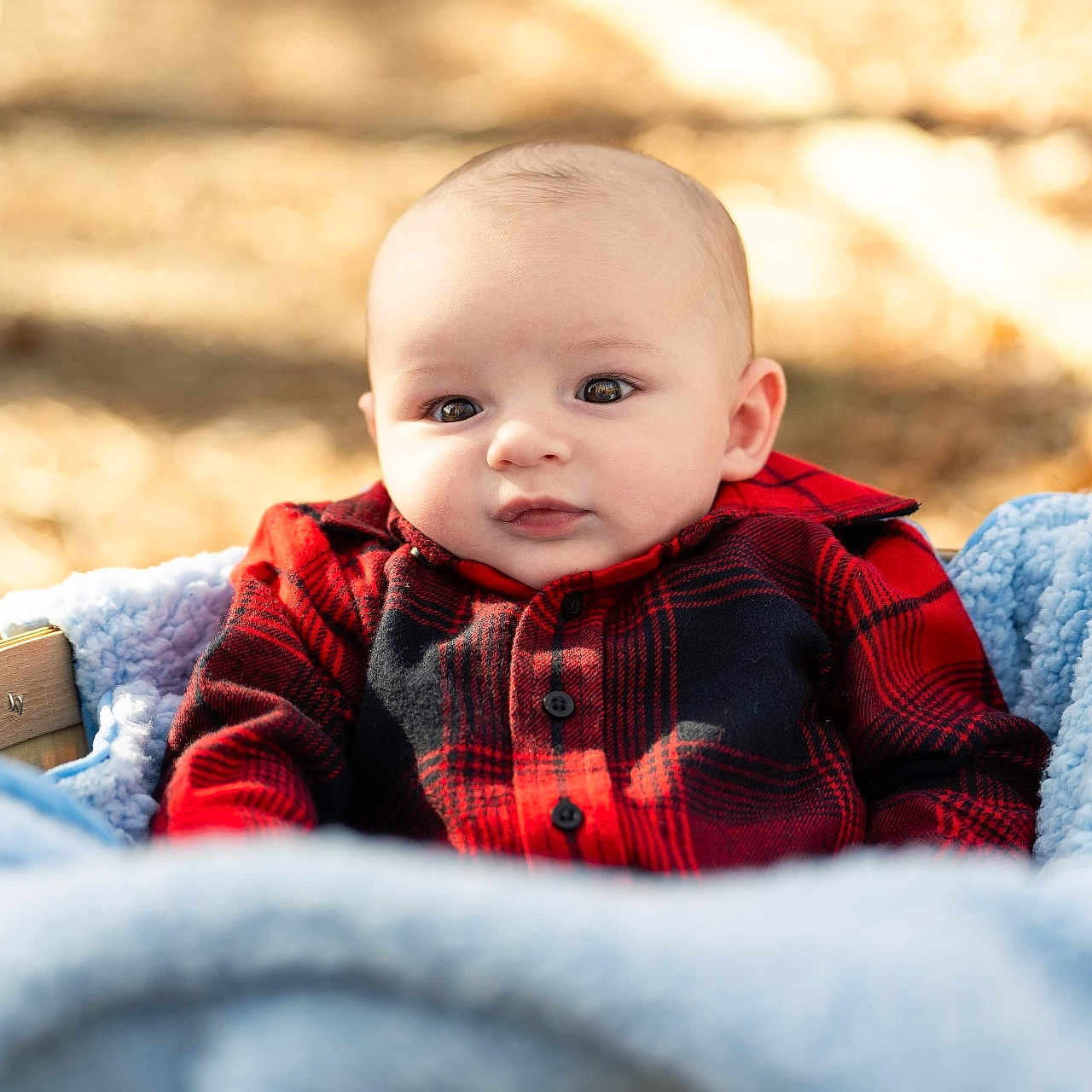 Wilder is registered to the contest to win money with this photo: baby, blanket, clothing, coat, face, happy, head, hoodie, jacket, knitwear, newborn, pants, person, photography, portrait, quilt, sitting, smile, sweater, sweatshirt