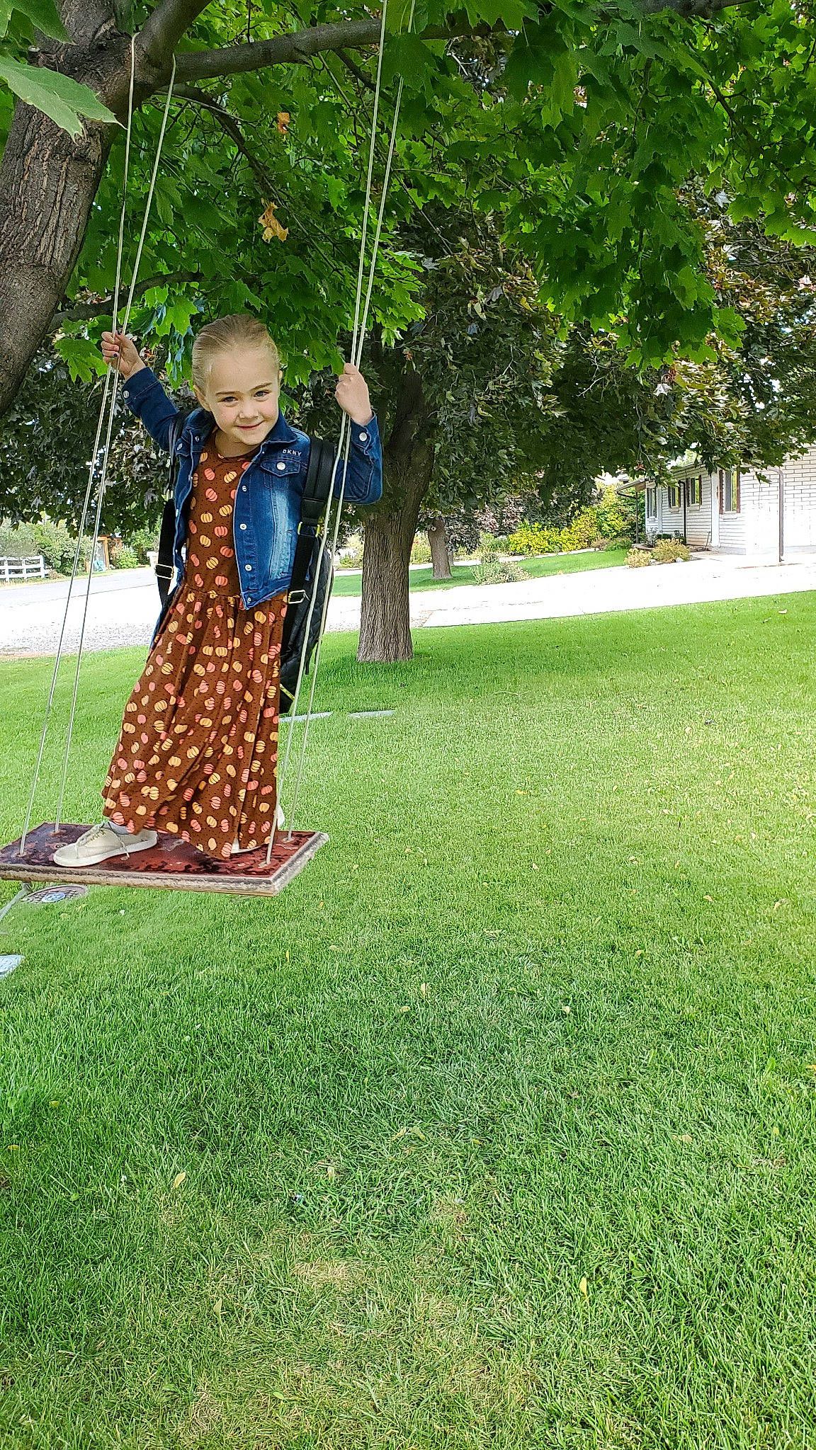 Lola is registered to the contest to win money with this photo: dress, grass, grass_family, joy, lawn, park, person, plant, recreation, swing, tree