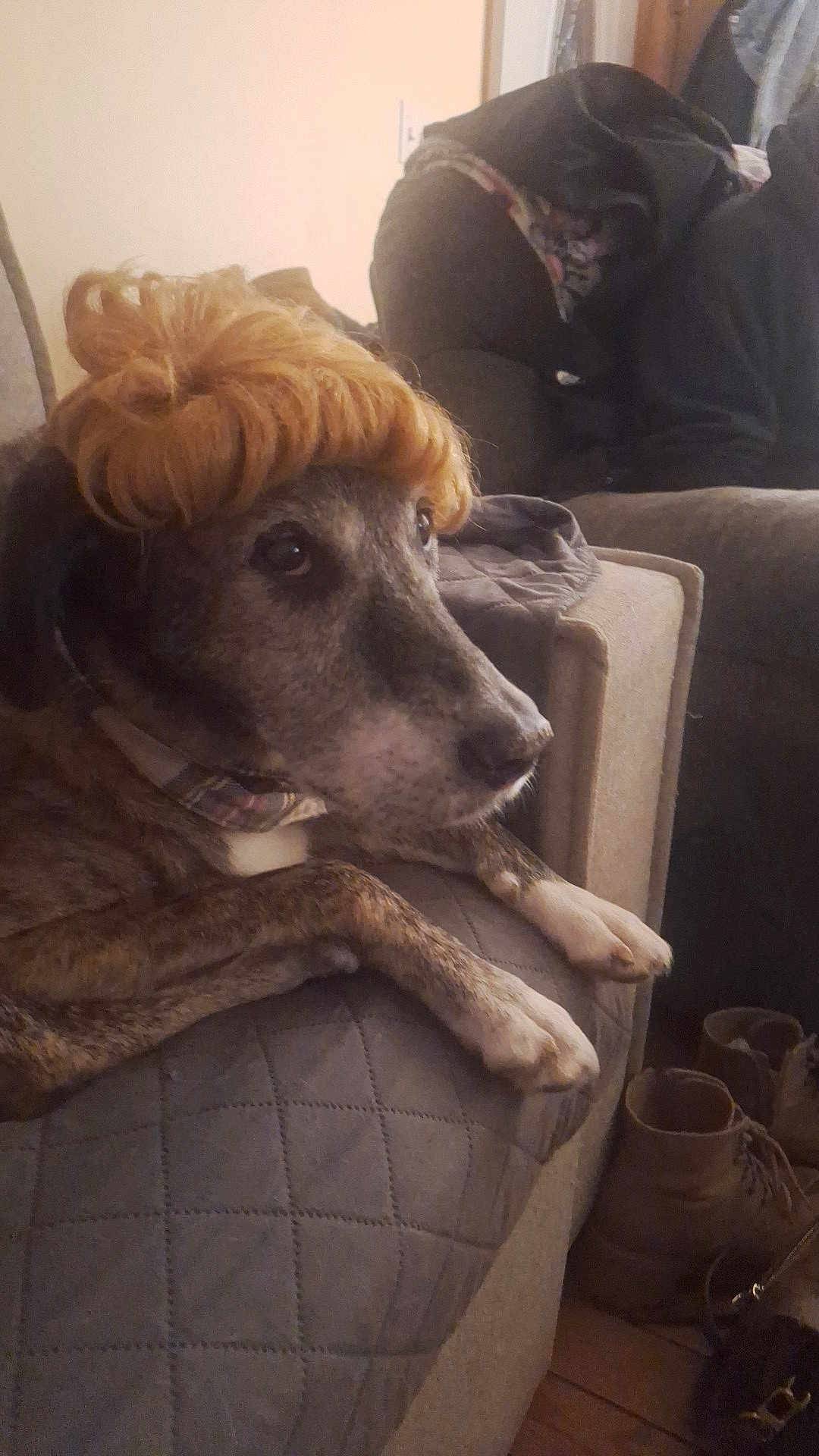 Simba