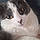 Cleo