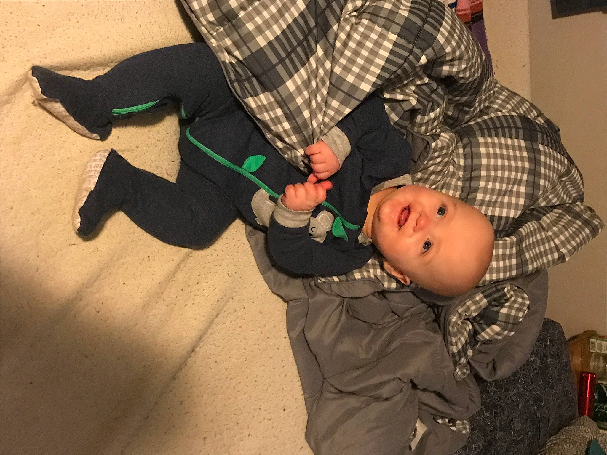 Odin joined the competition — help win amazing prizes! child, design, pattern, person, plaid, toddler