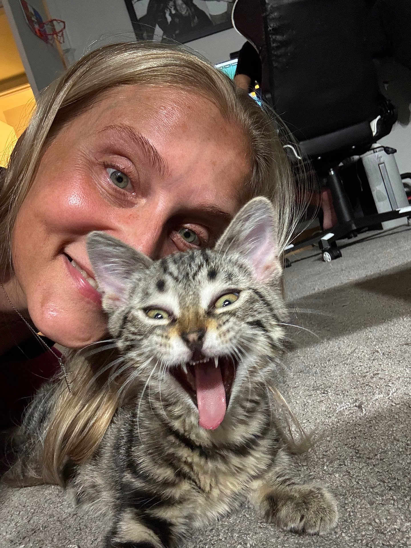 Nanook is registered to the contest to win money with this photo: woman, cat, kitten, smiling, playful, carpet, indoor, close_up, pet, tongue_out, happy, feline, tabby, person, animal, cute, face, domestic, friendship, expression