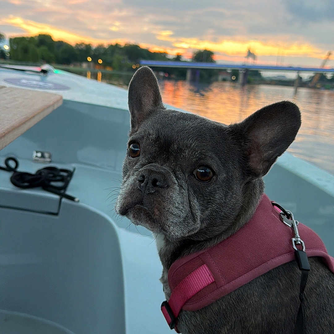 Skye
