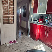 Louna participe au concours pour gagner de l'argent avec cette photo : dog, small_dog, kitchen, red_cabinets, tiled_floor, doorway, dog_bowls, water_bottle, coffee_machine, paper_towel, utensils, countertop, indoor, brick_wall, chair, radiator, hallway, picture_frame, door, natural_light