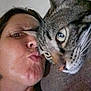 Ziggy participe au concours pour gagner de l'argent avec cette photo : person, cat, close_up, selfie, tabby_cat, face, kiss, affection, whiskers, feline, human, indoor, skin, fur, nose, eye, mouth, expression, head, portrait