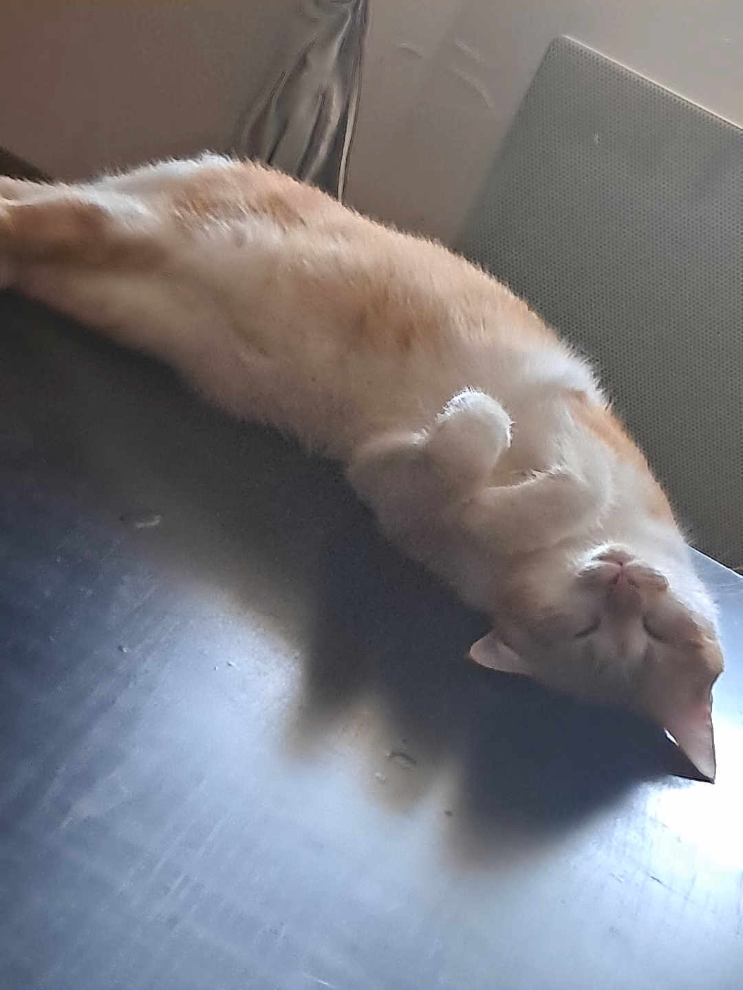 Ron Pom Pom Pom