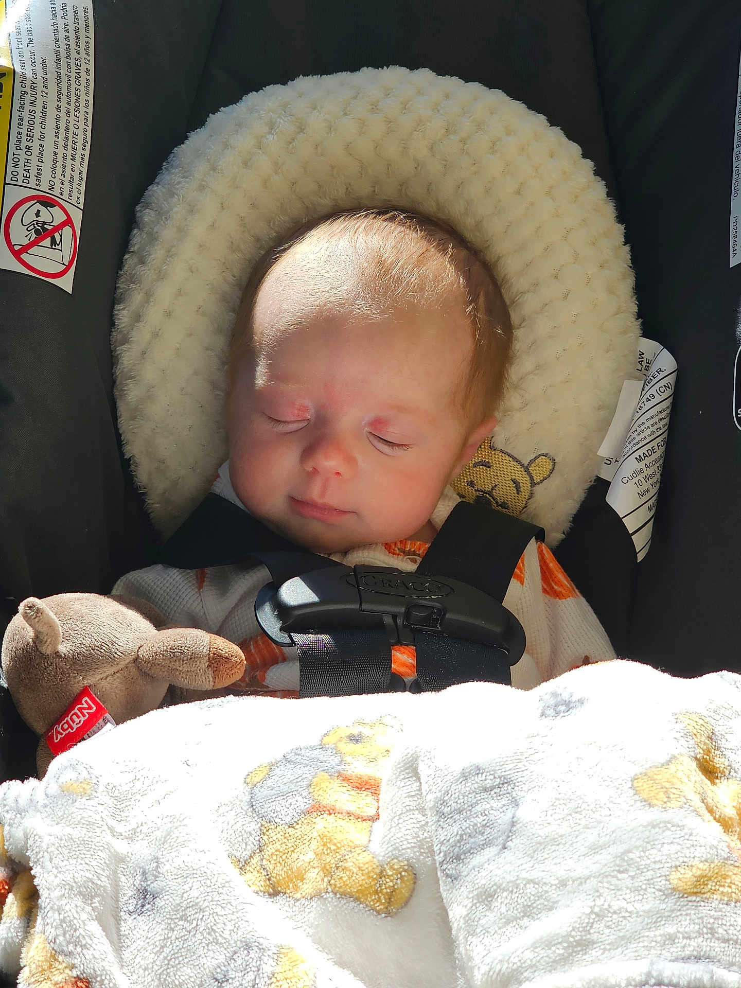 Avacyn joined the competition — help win amazing prizes! baby, sleeping, car_seat, blanket, plush_toy, winnie_the_pooh, child, infant, cozy, soft_texture, sunlight, peaceful, cute, resting, fabric, seatbelt, head_support, indoor, comfort, nap