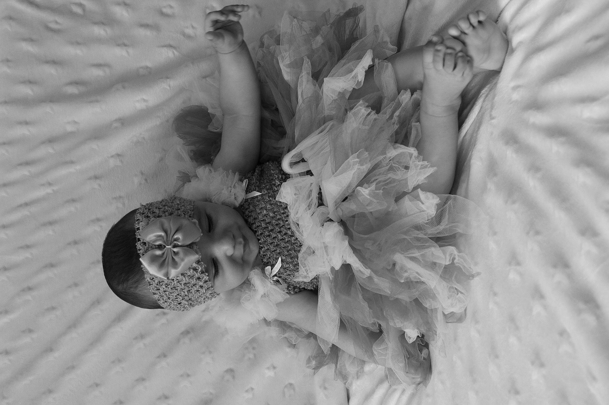 Hayden a rejoint le concours — aidez-le/la à gagner de superbes lots ! adaptation, art, bird, black_and_white, close_up, fashion_accessory, feather, flower, grey, metal, monochrome, monochrome_photography, organism, pattern, person, petal, plant, still_life_photography, style, textile