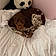 Ollie