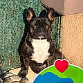 Nelly S.