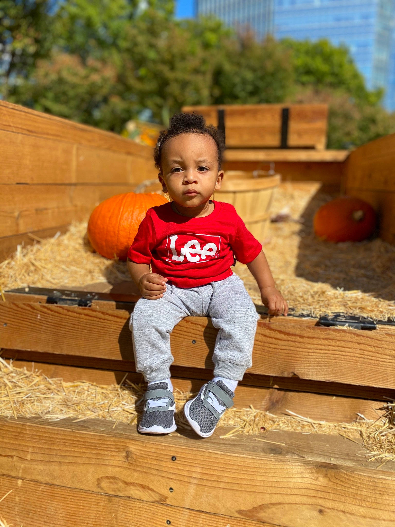 Samar is registered to the contest to win money with this photo: _and_melon_family, _gourd, baby_toddler_clothing, calabaza, cucumber, cucurbita, foot, gourd, hay, local_food, lumber, natural_foods, outdoor_shoe, people_in_nature, person, produce, pumpkin, squash, toddler, vegetable