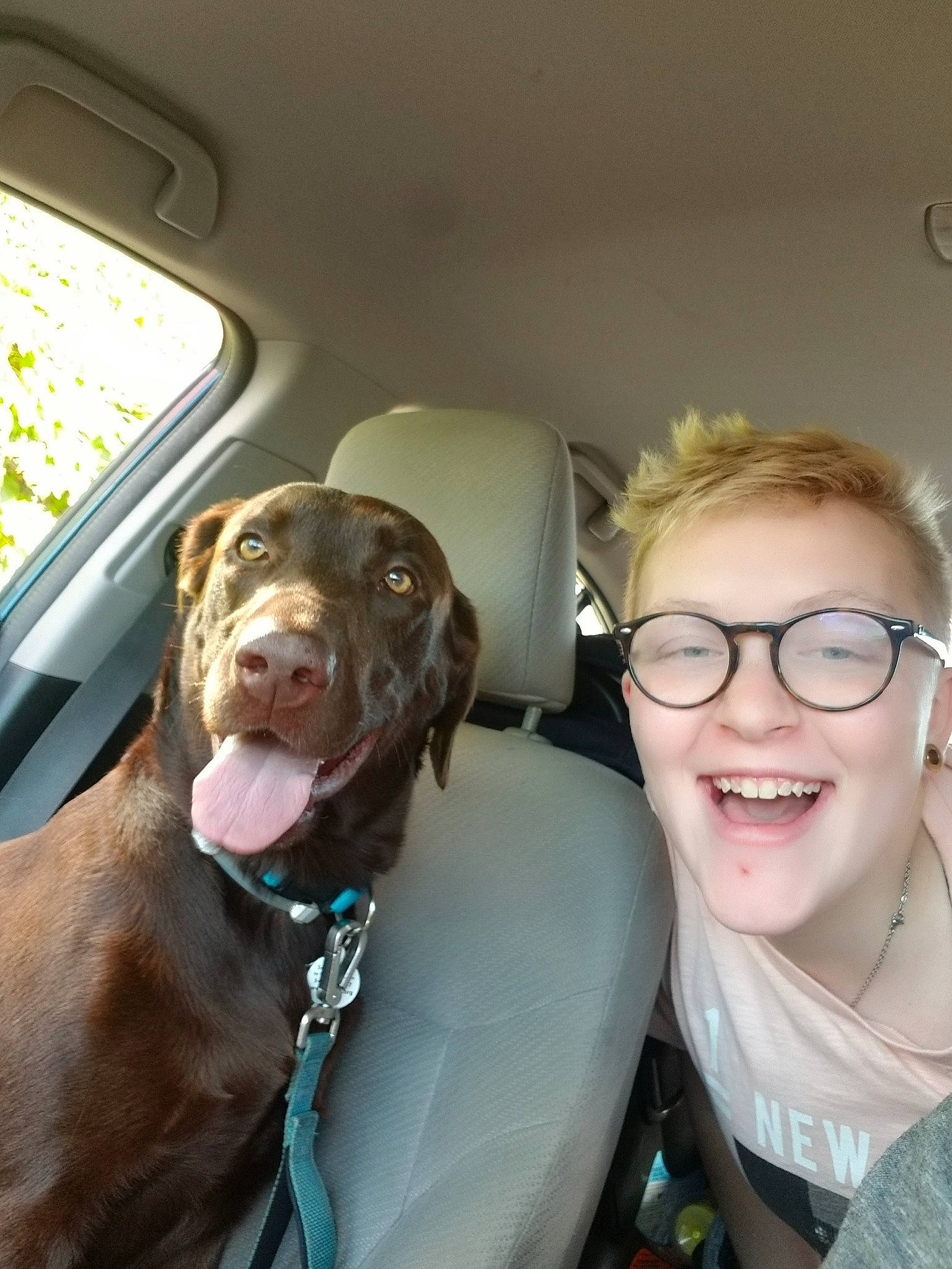 Hawk is registered to the contest to win money with this photo: canidae, carnivore, chesapeake_bay_retriever, dog, dog_breed, ear, fawn, glasses, jaw, liver, photography, pit_bull, pointing_breed, selfie, smile, snout, sporting_group, vizsla, weimaraner