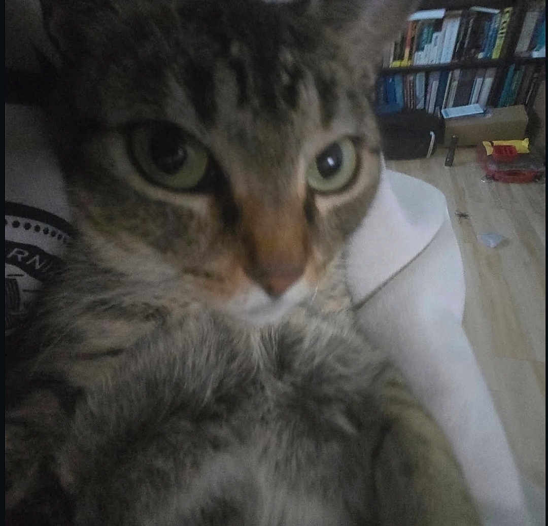 Circe