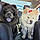Bear And Snow