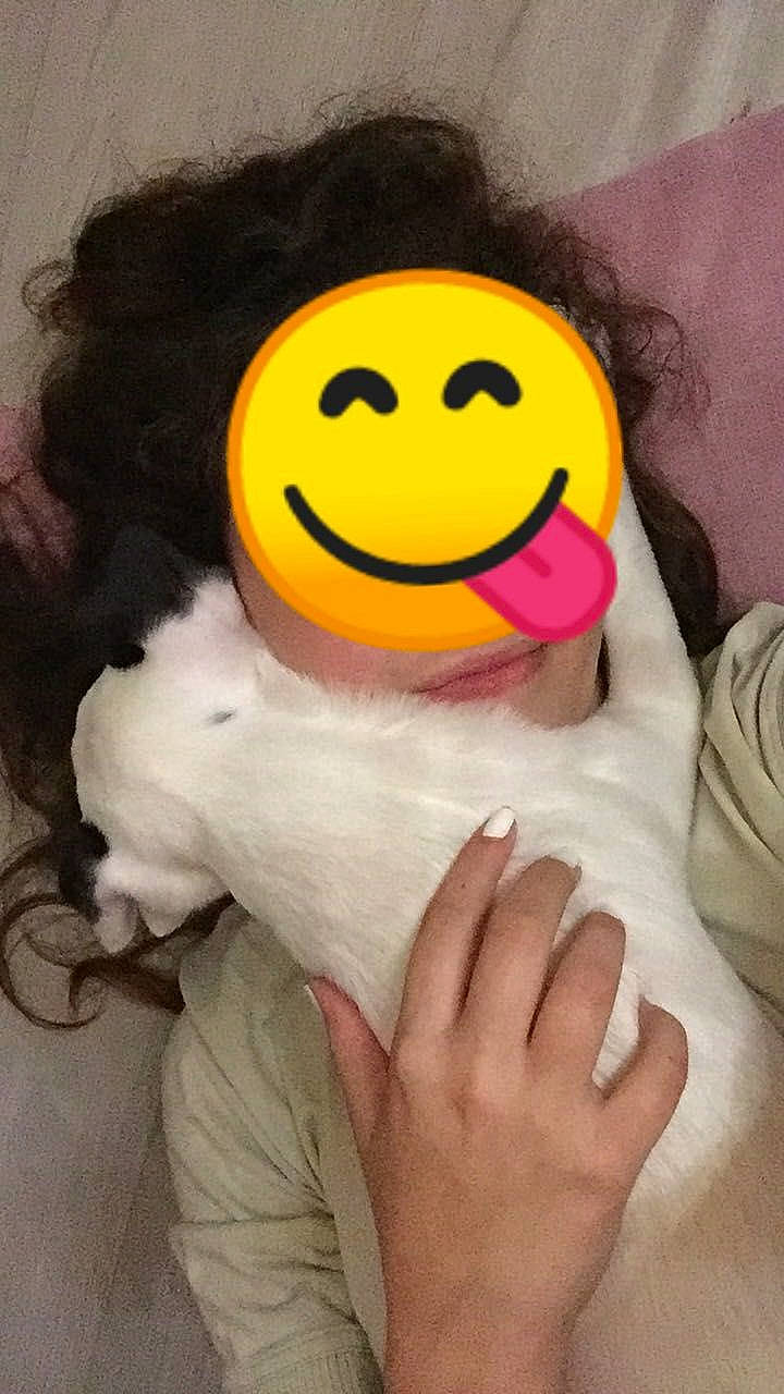 Naoki a rejoint le concours — aidez-le/la à gagner de superbes lots ! comfort, emoticon, eye, eyebrow, finger, gesture, happy, head, headgear, moustache, mouth, nail, nose, smile, smiley, stuffed_toy, textile, thumb, toy, vertebrate