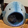 Howie is registered to the contest to win money with this photo: cat, pet_bed, whale_shape, gray_cat, plush_toy, wooden_floor, indoor, cozy, furniture, animal, cute, resting, home, soft, toy, domestic_cat, looking, comfort, fur, animal_house