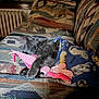 Howie is registered to the contest to win money with this photo: kitten, cat, blanket, plush_toy, couch, indoor, sleeping, cozy, furniture, radiator, window, patterned, gray_cat, pet, resting, fur, soft_toy, relaxation, home, nap