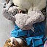 cat, tabby_cat, calico_cat, sleeping, curled_up, blanket, plush_toy, stuffed_animal, indoor, cozy, resting, fur, pet, cute, animal, soft, relaxed, colorful, texture, companion