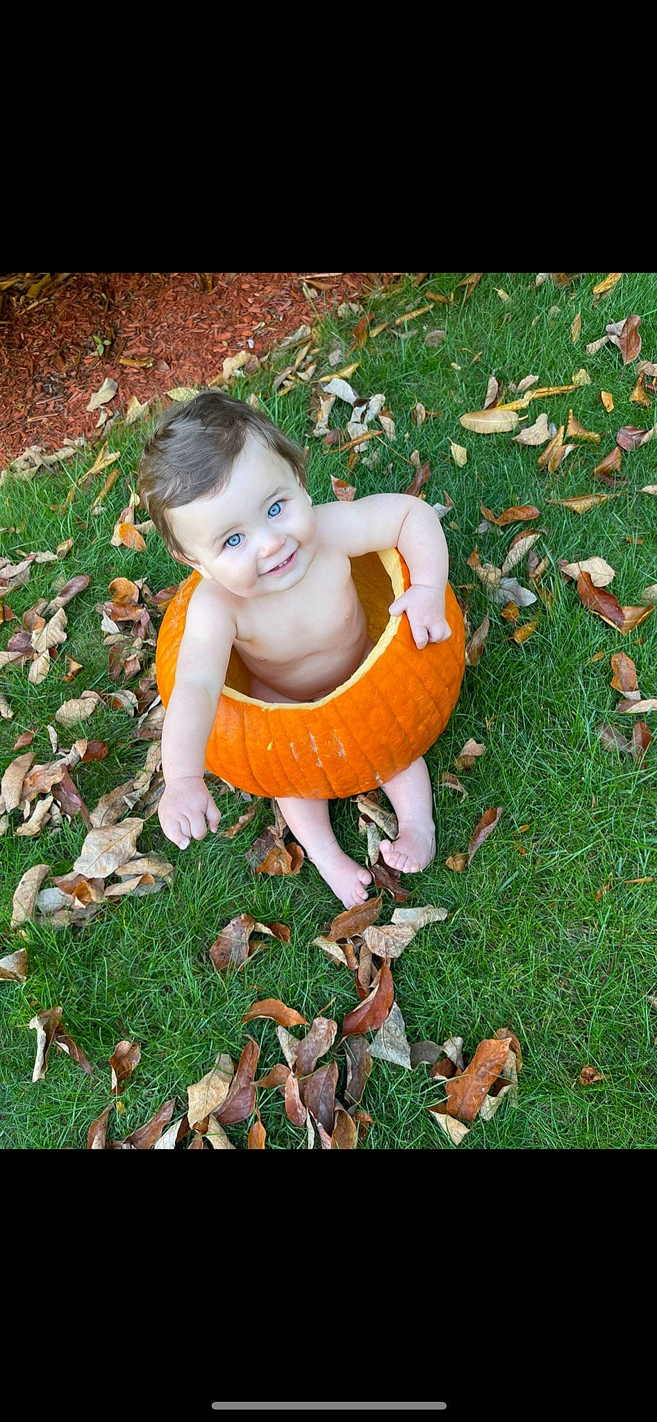 Levi joined the competition — help win amazing prizes! baby, baby_toddler_clothing, deciduous, flash_photography, flooring, fun, grass, grass_family, groundcover, happy, joy, lawn, leaf, leisure, people_in_nature, person, plant, sitting, smile, toddler