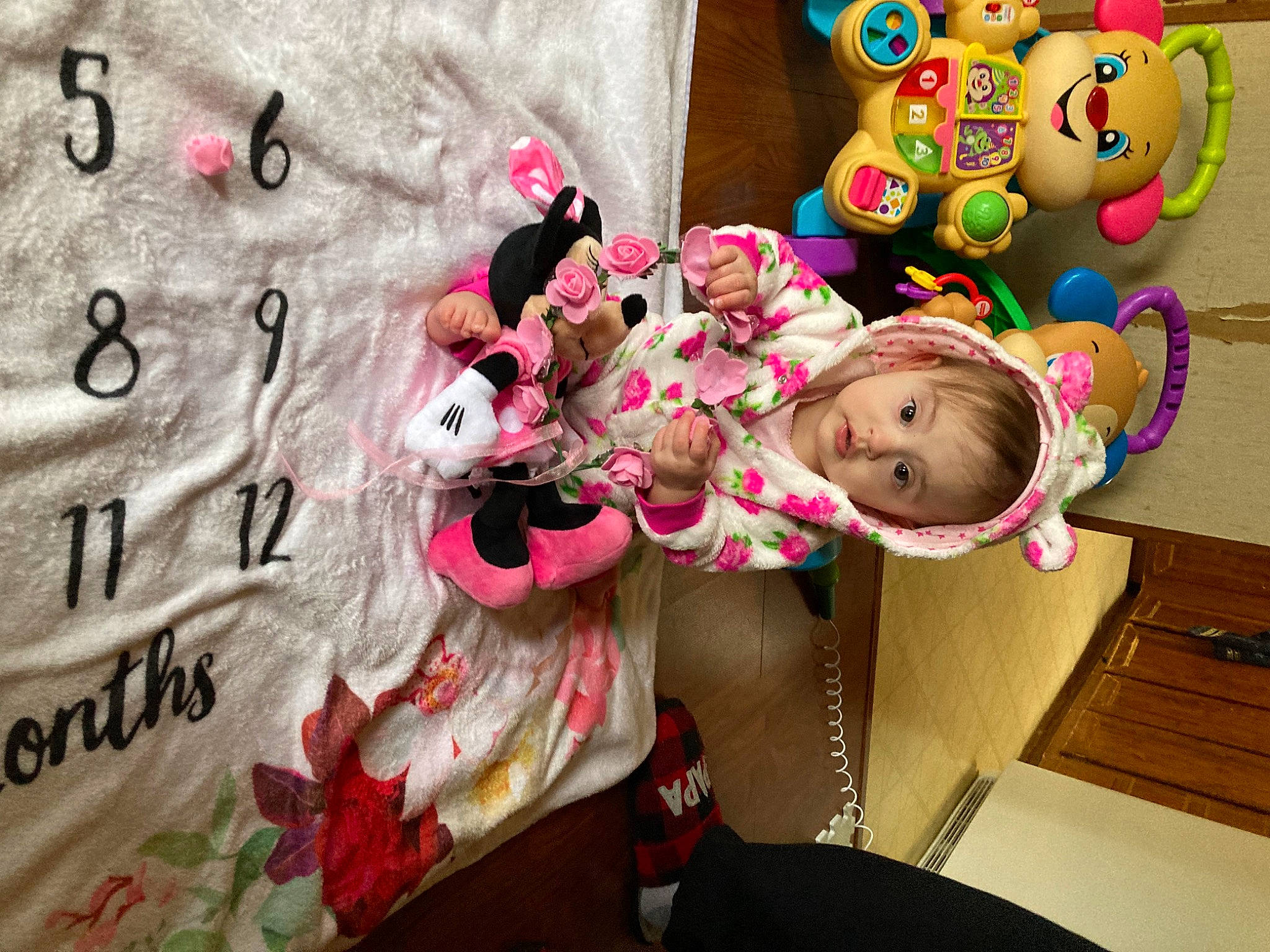 Journi is registered to the contest to win money with this photo: baby_toys, event, fun, happy, magenta, party_supply, person, pink, plush, room, stuffed_toy, toy