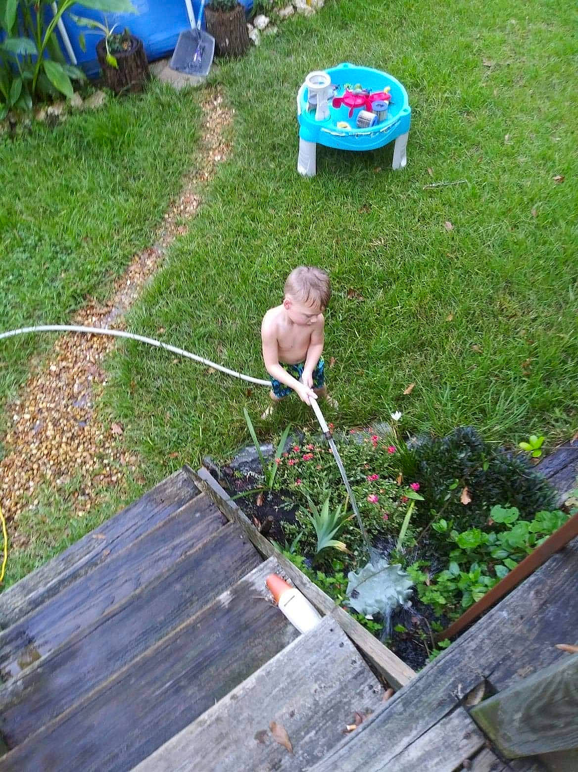 Riah joined the competition — help win amazing prizes! backyard, garden, grass, grass_family, herb, lawn, person, plant, soil, yard