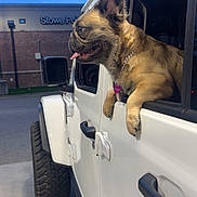 Stella is registered to the contest to win money with this photo: dog, vehicle, car, window, outdoor, sky, building, pet, tongue_out, happy, animal, transportation, white_car, evening, urban, side_view, collar, metal, tire, concrete