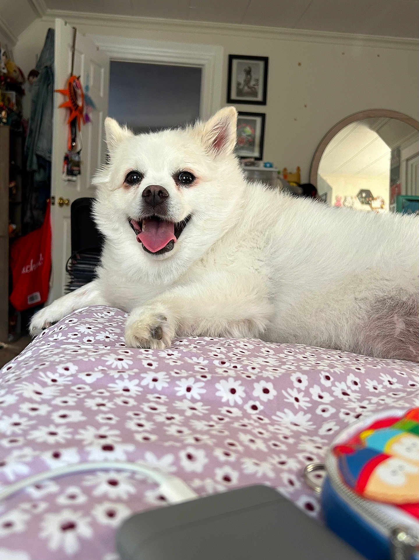 Lyka