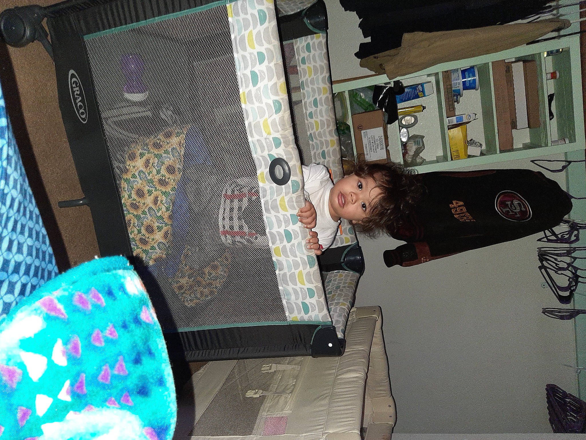 Enzo joined the competition — help win amazing prizes! electronic_device, person, technology, tree