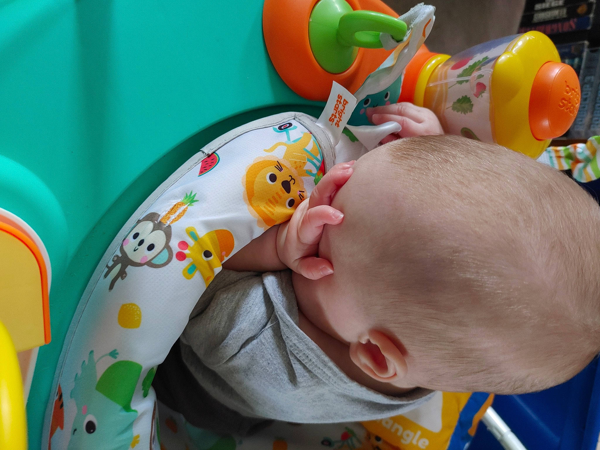 Lillian is registered to the contest to win money with this photo: baby, baby_playing_with_toys, baby_products, baby_toddler_clothing, baby_toys, child, facial_expression, fun, green, happy, leisure, person, photograph, play, recreation, sitting, skin, toddler, toy, vacation