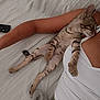 bed, blanket, cat, cozy, cute, domestic_animal, fur, human_arm, indoor, kitten, nap, paw, person, relaxing, resting, skin, sleeping, striped_cat, striped_fur, white_clothing