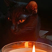 Tsuki participe au concours pour gagner de l'argent avec cette photo : black_cat, candle, cat, close_up, cozy, curious, dramatic, feline, flame, glass_holder, indoor, low_light, moody, nighttime, orange_eyes, pet, portrait, reflection, watching, whiskers
