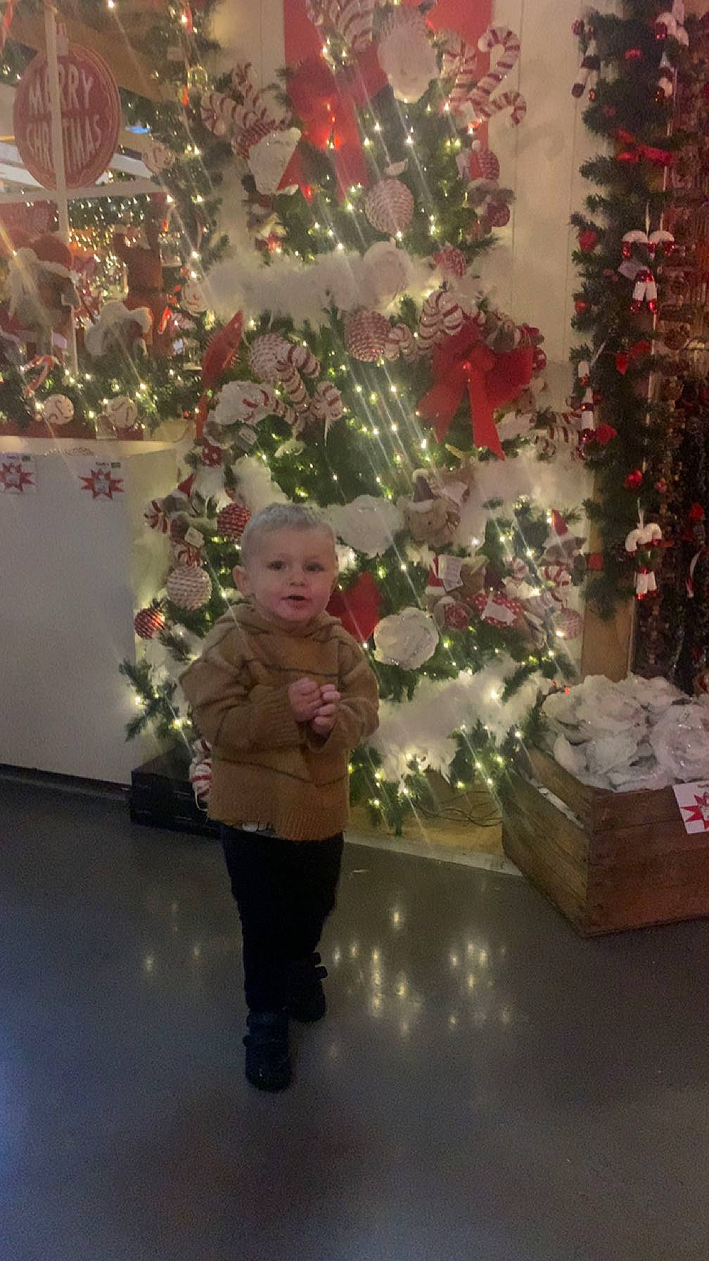 Lévy participe au concours pour gagner de l'argent avec cette photo : baby, christmas, christmas_decoration, christmas_eve, christmas_ornament, christmas_tree, conifer, event, floral_design, flower_arranging, holiday, holiday_ornament, interior_design, leaf, ornament, person, pink, plant, room, toddler