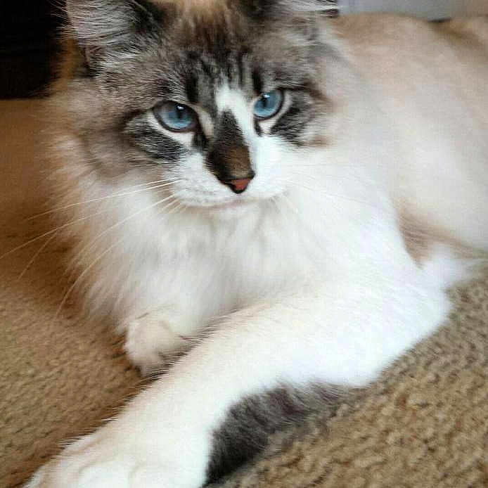 Lilly is registered to the contest to win money with this photo: