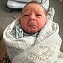 Hudson Bear joined the competition — help win amazing prizes! newborn, baby, infant, wrapped, blanket, tiger_print, hospital, medical_equipment, tattoo, curious_expression, person, indoor, soft_light, closeup, swaddled, cute, face, head, skin, human