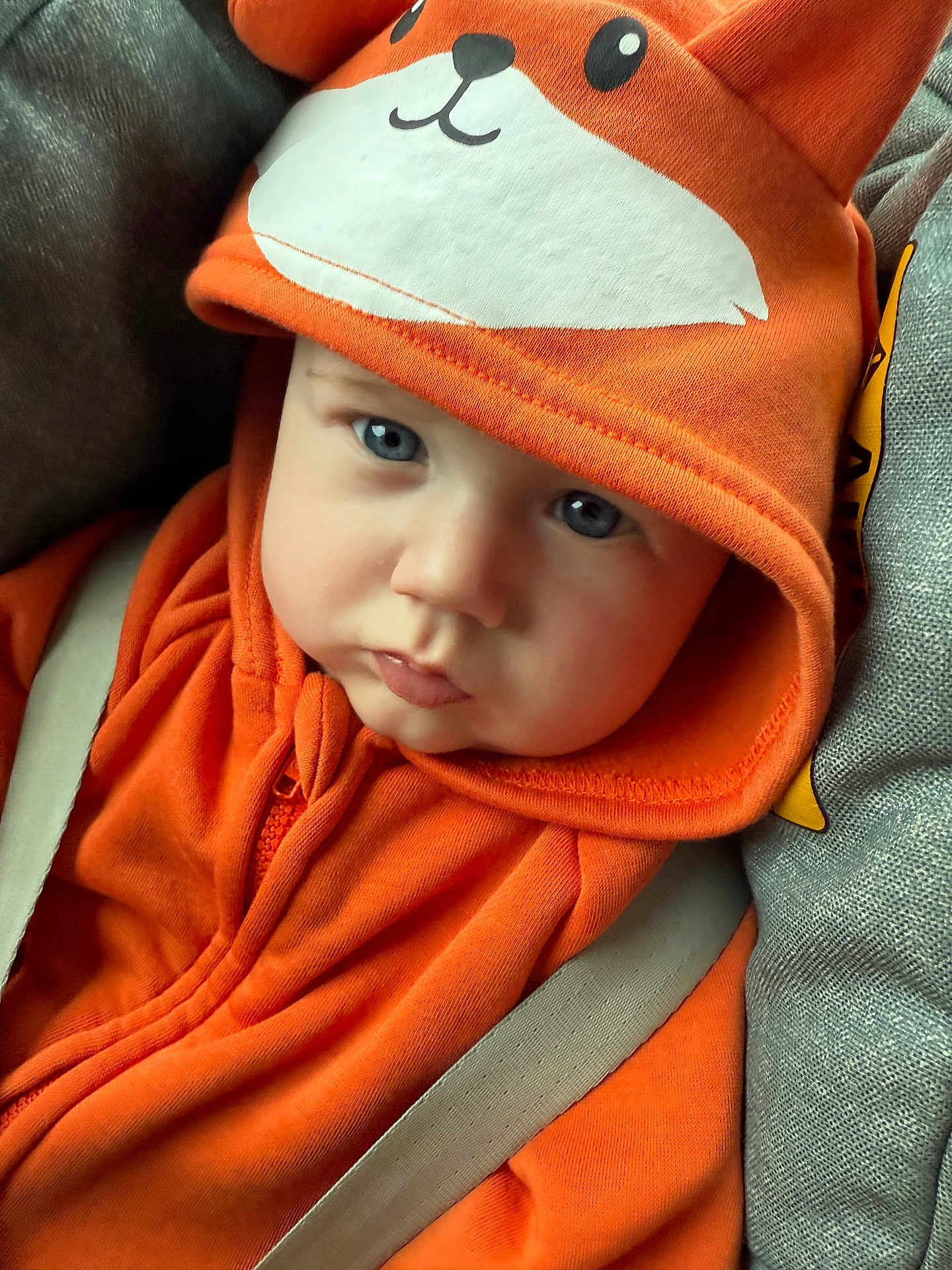 Carter is registered to the contest to win money with this photo: baby, child, hoodie, orange_clothing, fox_design, blue_eyes, car_seat, seatbelt, close_up, cute, infant, face, expression, soft_lighting, casual, warm_clothing, indoors, portrait, young_child, sitting